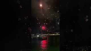 Waterfront fireworks wellington fireworks diwali festivevibes shorts telangana trending [upl. by Vashti]