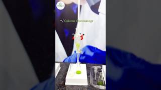 Chromatography 🌱🧑‍🔬science lab experiment research dissertation internship [upl. by Aynotel]