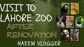 Visit to Lahore zoo after renovation 😍 ll 2024 ll Naeem Vlogger [upl. by Kreit506]