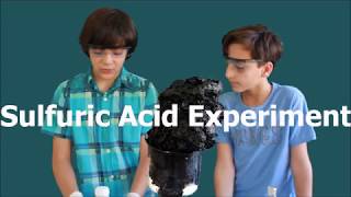 ماذا سيحدث عند اضافة حمض الكبريتيك الى السكر sulfuric acid experiment [upl. by Dickens658]