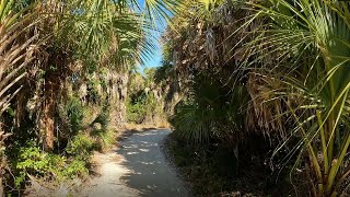 Explore Caspersen Beach Park Venice Florida Trail Walk 4K [upl. by Yrod881]