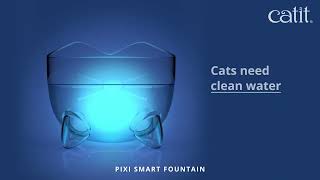 💧Keep your cats water fresher for longer with PIXI™ Smart Fountain [upl. by Kletter]