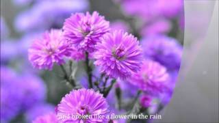 FLOWER IN THE RAIN by Jaci Velasquez with lyrics [upl. by Aleik]