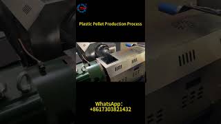 Plastic Pellet Production Process  Processing Plastic Into Plastic Pellets With Plastic Granulators [upl. by Mrots]