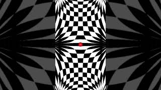 illusion opticalillusion illusions illusionist millusion perfectillusion illusion [upl. by Mercuri376]