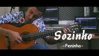 Sozinho  Peninha  Julio César Nascimento  Fingerstyle [upl. by Nylesoy]