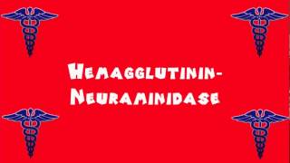 Pronounce Medical Words ― Hemagglutinin―Neuraminidase [upl. by Thalia744]