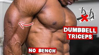 DUMBBELL TRICEP WORKOUT AT HOME  NO BENCH NEEDED [upl. by Barfuss]