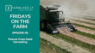 Tall Fescue Harvest amp Soil Health Benefits  Fridays on the Farm Episode 5 [upl. by Rubia]