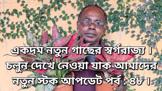 একদম নতুন গাছের স্বর্গরাজ্য । চলুন দেখে নেওয়া যাক আমাদের নতুন স্টক আপডেট পর্ব  ৪৮ । [upl. by Robma]