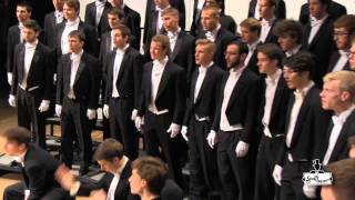 Gaudete  UWEC Singing Statesmen HD [upl. by Htir148]