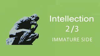 Intellection 2\3  Gallup Strengthsfinder [upl. by Amalburga]