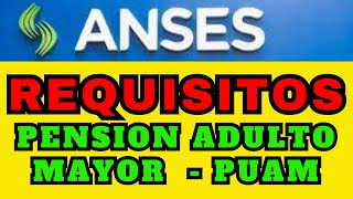 PUAM Curso completo para gestionar la pensión de adultos mayores sin aportes anses noticiasanses [upl. by Ahsenit]