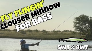 FLY FLINGIN’ CLOUSER MINNOW FOR BASS first bass on fly [upl. by Enela]