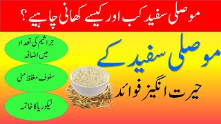 Musli Safed benefits in Urdu  safed musli kay fayde in Urdu Hindi  Herbs  موصلی سفید کے فائدے [upl. by Norra]