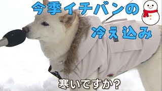 今季１番の冷え込み「さっきも転びそうになりました」ツルツル路面に注意 今シーズンの冬靴のトレンドは？ [upl. by Broeker]