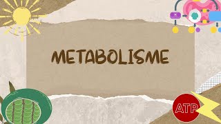 Metabolisme Bagian 1  Materi Biologi Kelas 12 [upl. by Belen]