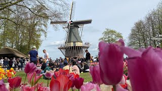 Keukenhof Garden 2024 [upl. by Johst612]