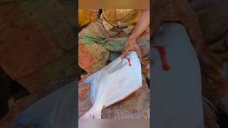 Big fish cutting skills fishcutting fishcuttingskills fishcuttingskills fishing fish shorts [upl. by Pegma287]