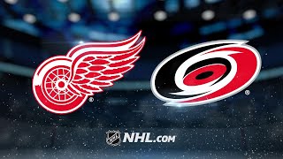 Helm Mrazek power Red Wings past Hurricanes 41 [upl. by Coucher680]