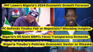 Nigeria President Controversial Policies Economic Savior or Disaster [upl. by Jobyna]