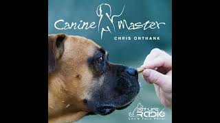 Canine Master  Episode 18 Mouthing and Chewing 101 Ouch Survival Guide to Help with Your Puppy [upl. by Serge]