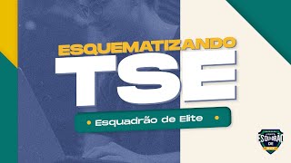 Esquematizando TSE  Gestão de Contratos  Prof Thallius Moraes [upl. by Almita]