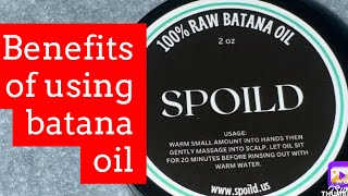 Spoild Raw Batana Oil Hair Growth Miracle [upl. by Nibur]