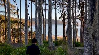 Depot Beach Murramarang National Park New South Wales Australia [upl. by Hodgkinson]