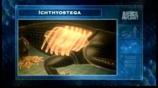 ichthyostega 1407 [upl. by Lotsyrc]