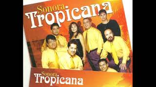 Sonora Tropicana  CUMBIAS BAILABLES MIX 13 EXITOS [upl. by Llewol]