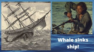 The harrowing true story of the sinking of The Essex  which inspired Moby Dick [upl. by Adamec]