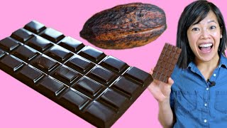 Cocoa POD to CHOCOLATE Bar  How to Make A DIY BeantoChocolate Bar at Home [upl. by Acirdna]