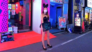 Japan Walk Kabukicho late at night Bunny red light district adult alley in Shinjuku Tokyo｜4K 歌舞伎町 [upl. by Ennaeilsel]