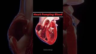 HEART PUMPING BLOOD  heart anatomy animation bloodcirculation cardiology shorts [upl. by Benji]