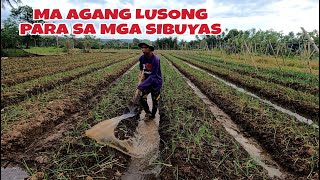 ma agang LUSONG para Maka PAG dilig [upl. by Siana]