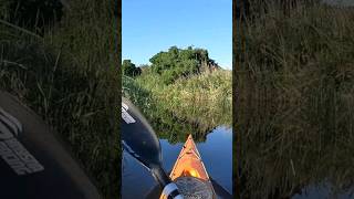 Taking an early morning exploration kayak on the coastal lakes in the Garden Route [upl. by Keever]