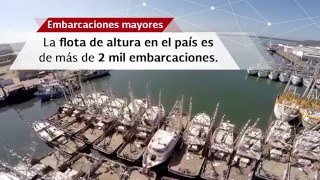 La Pesca y la Acuacultura en México [upl. by Wilmette321]