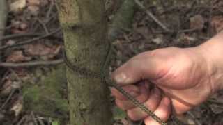 Bushcraft How To Tie A Taut Tarp Hitch [upl. by Mchenry]