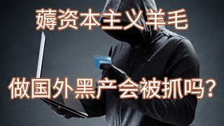 盗了信用卡居然用来买这个？盗刷老外的信用卡在中国会被抓吗？你以为做国外黑产很安全吗？ [upl. by Netloc]