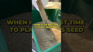 When is the best time to plant grass seed shorts [upl. by Derrick]