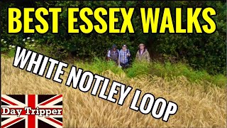 Best Essex Walks  White Notley Circular Walk  Essex Way [upl. by Madalena403]