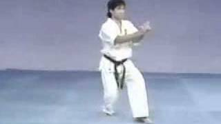 Kyokushin Seienchin Kata [upl. by Airuam]