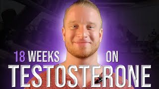 18 Week Testosterone Cycle Update [upl. by Enorel]