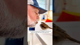 Grandpa rescued a sparrow and found it so clingy [upl. by Cami]