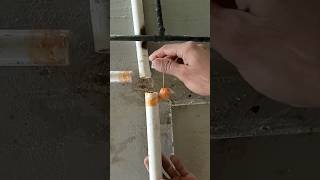 The Plumbers Secret🤫trick  pvc pipe joint tee fixing plasticpipe ytshorts shorts [upl. by Aivalf]