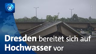 Nach Einsturz der Carolabrücke Dresden bereitet sich auf Hochwasser vor [upl. by Gazzo867]