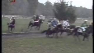 105 Velká pardubická steeplechase  1995 [upl. by Hertz]