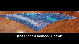 Seashell Shawl Diagonal Technique by Diana Sullivan [upl. by Aslin]