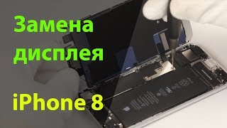 Замена дисплея на iPhone 8 [upl. by Ximena]